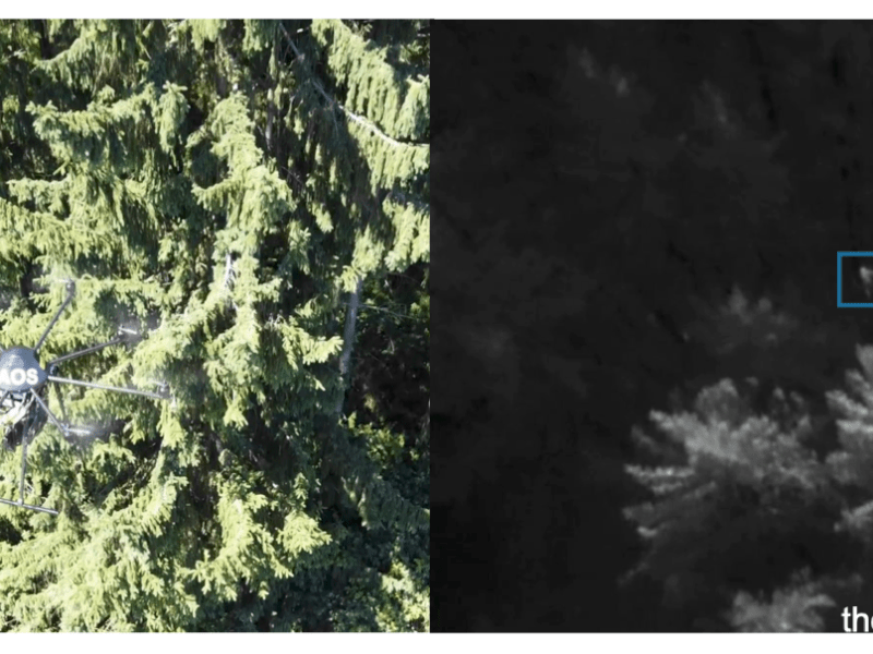 Thermal Image Object Detection for Search and Rescue&nbsp;Operations